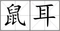 鼠耳