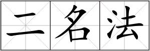 二名法