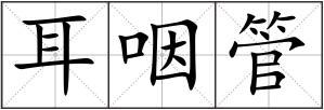 耳咽管