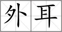 外耳