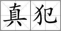 真犯