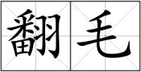 翻毛