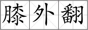 膝外翻