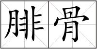 腓骨