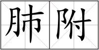 肺附
