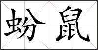 蚡鼠