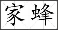 家蜂