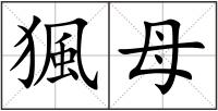 猦母
