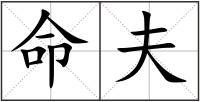 命夫