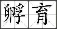孵育