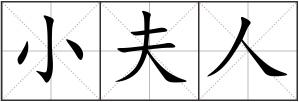 小夫人