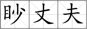 眇丈夫