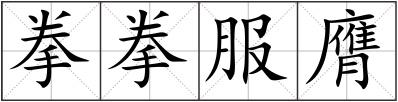 拳拳服膺