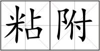 粘附