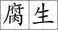 腐生