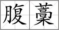 腹藳