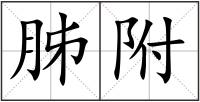 胏附