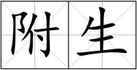 附生