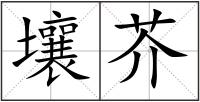 壤芥