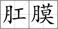 肛膜