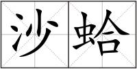 沙蛤