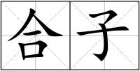 合子
