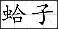 蛤子