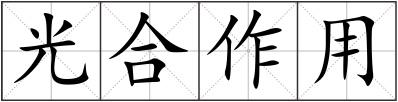 光合作用