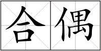 合偶