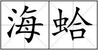 海蛤
