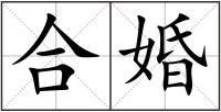 合婚