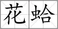 花蛤
