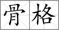 骨格