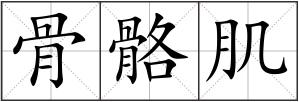 骨骼肌