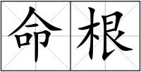 命根