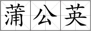 蒲公英