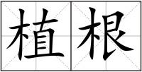 植根