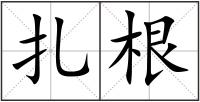 扎根