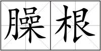 臊根