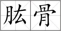 肱骨
