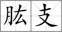肱支
