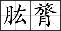 肱膂