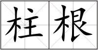 柱根