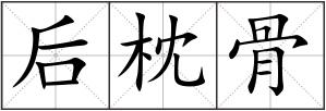 后枕骨
