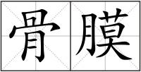 骨膜