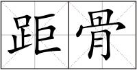 距骨
