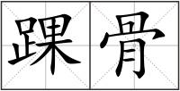 踝骨