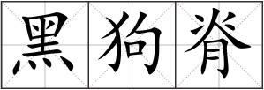 黑狗脊
