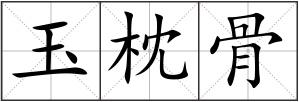 玉枕骨