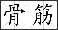 骨筋